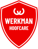 Werkman