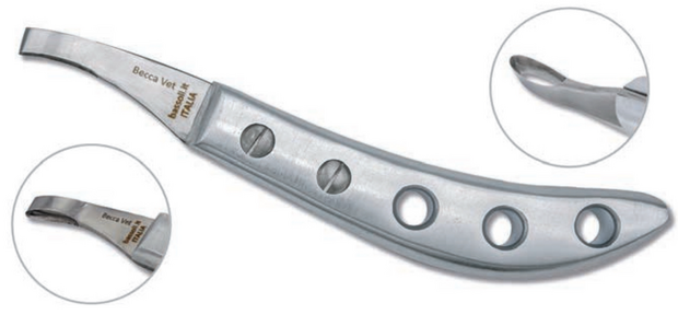 Bassoli Becca Vet Hoefmes Loop