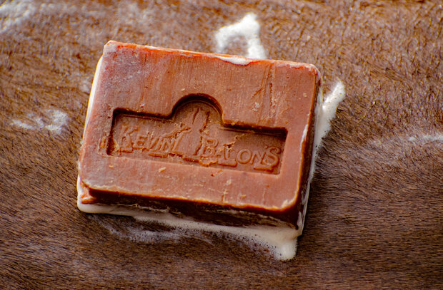 Kevin Bacon&#039;s - Active Soap