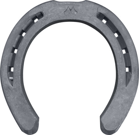 BaseMax horseshoe