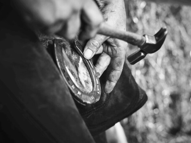 Werkman nail