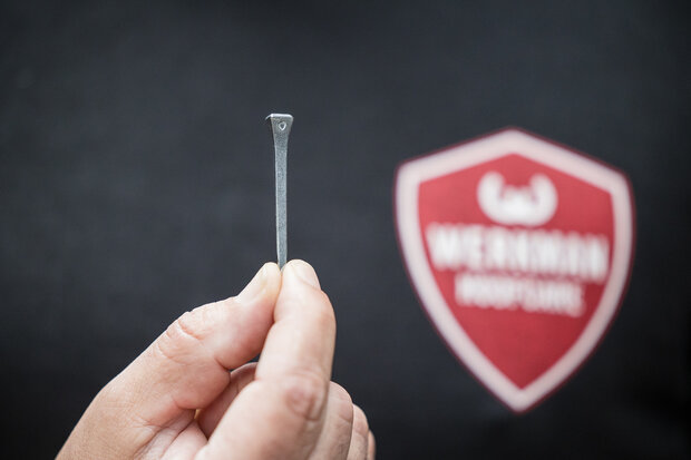 Werkman nail