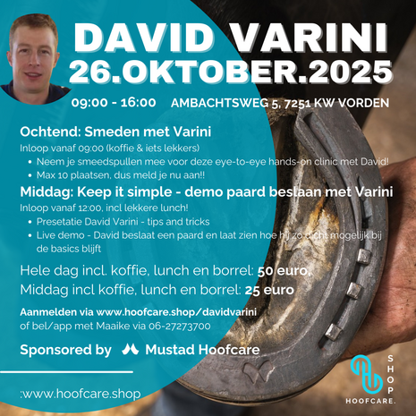 Workshop met David Varini