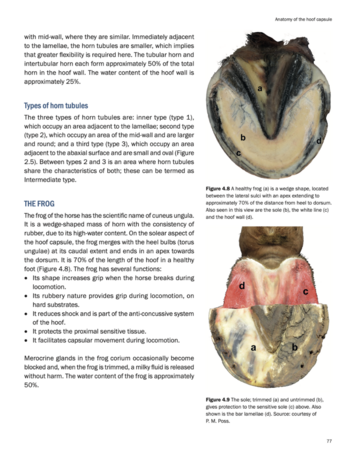 Farriery Skills &amp; Knowledge