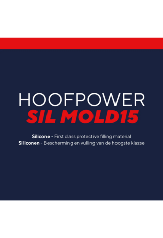 SIlmold15