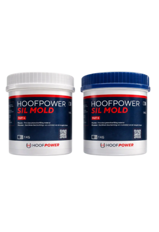 SIlmold25
