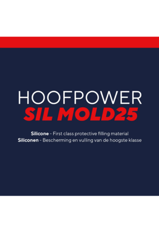 SIlmold25