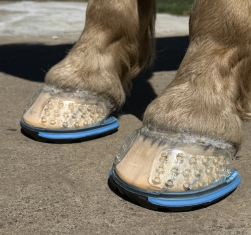 Easyshoe Triple D Ultra