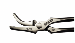 Icar Nietentang Dragon 2.0 "S" Line - race horses Icar Nietentang Dragon 2.0 "S" Line - race horses